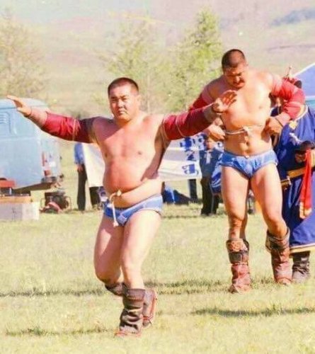 Монгол эрийн чимэг бөхчүүд фото