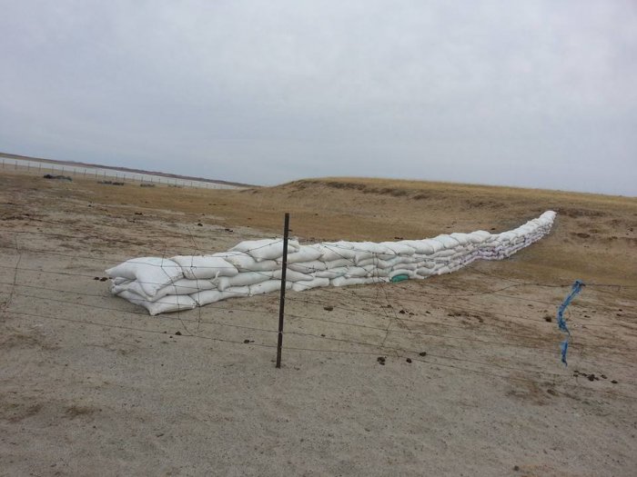 Үзэсгэлэнт нууранд минь ЦАГААН ХУН биш ҮЗЭЭРИЙН МУУХАЙ ШУУДАЙ хөвөхийг бид хармааргүй байна