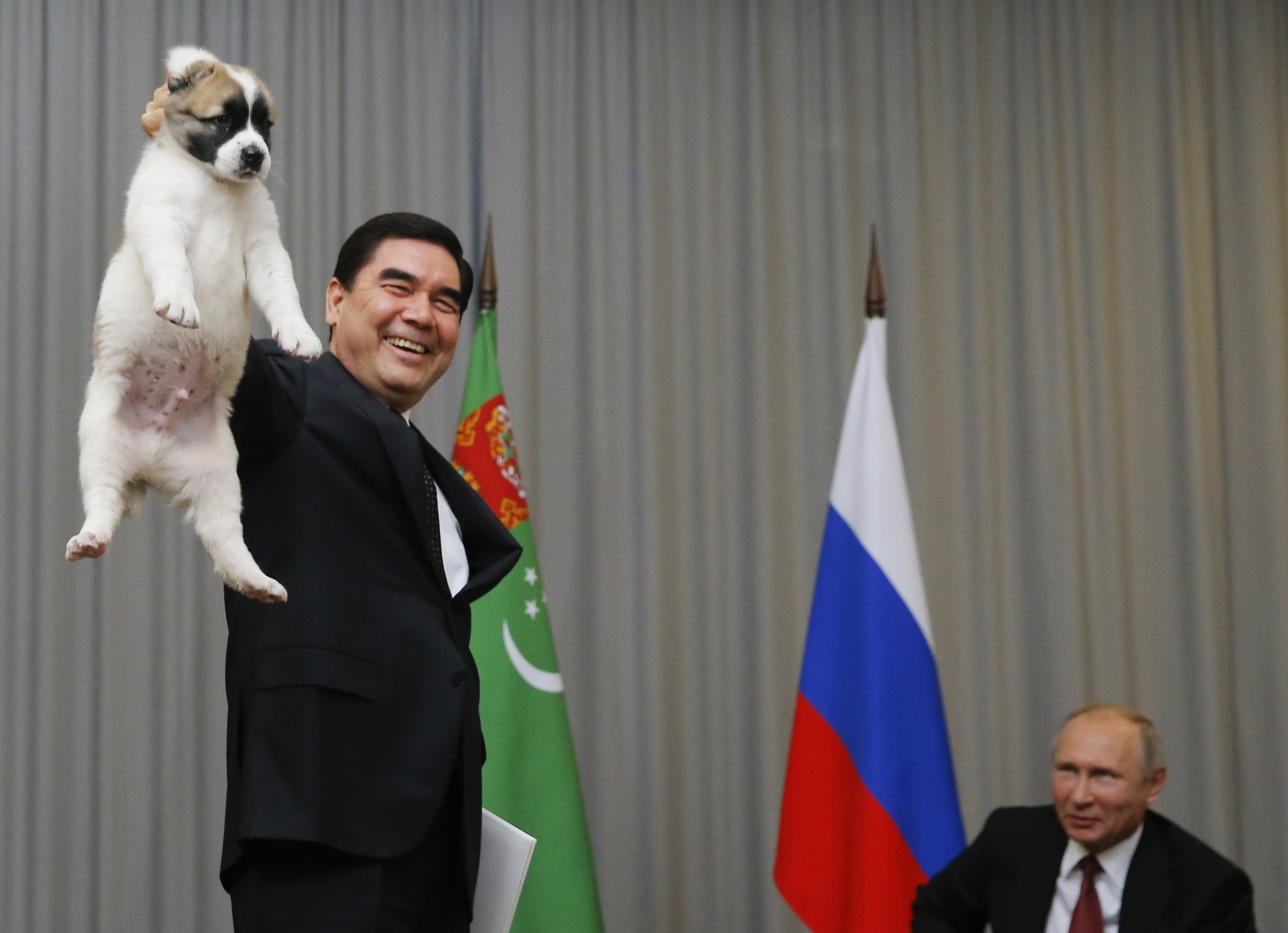 Путинд нохой бэлэглэв
