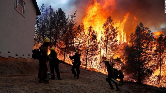 Калифорнид гарсан гал түймрийн улмаас 44 хүн амиа алдаад байна