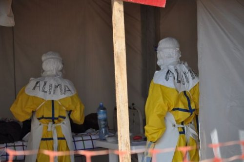 Эбола вирусийн халдвар авсан хүний тоо нэмэгджээ