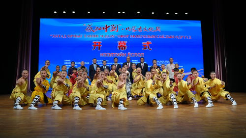 “Хятад орныг танин мэдэх”·Өвөр Монголын соёлын өдрүүд нээлтээ хийлээ