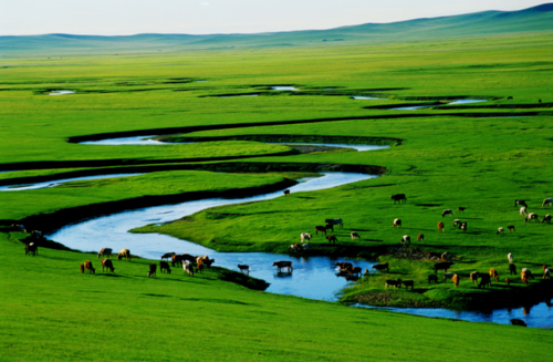 Өвөр Монгол дэлхий дахинд өнгө нэмлээ
