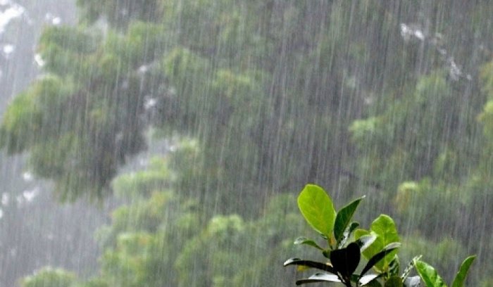 Улаанбаатар хотод зургаадугаар сарын 21-22-ны шилжих шөнө бороотой бөгөөд сар дуустал олон жилийн дунджаас сэрүүн байна