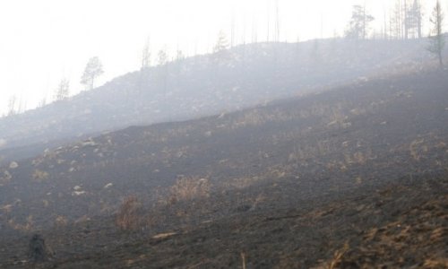 Дорнод аймгийн Халх гол суманд 3200 га хээрийн талбай түймэрт өртжээ