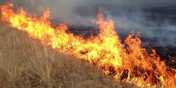 Дорнод аймагт хээрийн түймэр гарч 3000 га орчим талбай өртлөө