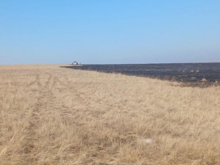 Галд өртсөн малын сэг зэмийг устгах, ариутгал халдваргүйтгэл хийх ажлын хэсгийг байгуулжээ