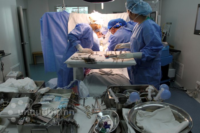 Амьгүй донороос эрхтэн шилжүүлэх эмчилгээ бүрмөсөн зогслоо