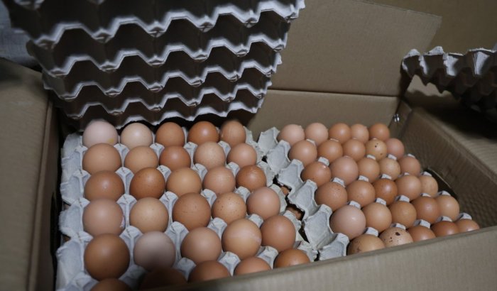 Хуурамч дардастай өндөг худалдан борлуулсан аж ахуйн нэгжид 20.000.000 төгрөгийн торгууль ногдууллаа