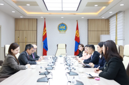 НҮБ-ЫН ГҮЙЦЭТГЭХ НАРИЙН БИЧГИЙН ДАРГЫН ТҮНШЛЭЛ, ЗОХИЦУУЛАЛТ ХАРИУЦСАН ОРЛОГЧИЙГ ХҮЛЭЭН АВЧ УУЛЗЛАА