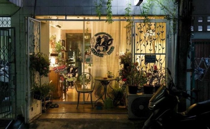 Шинэ журам хэрэгжсэнээр Тайландад 7000 каннабисын дэлгүүр хаагдав