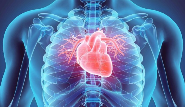 Цахилгаан тамхитай холбоотой шинэ судалгаанд юу дурдав