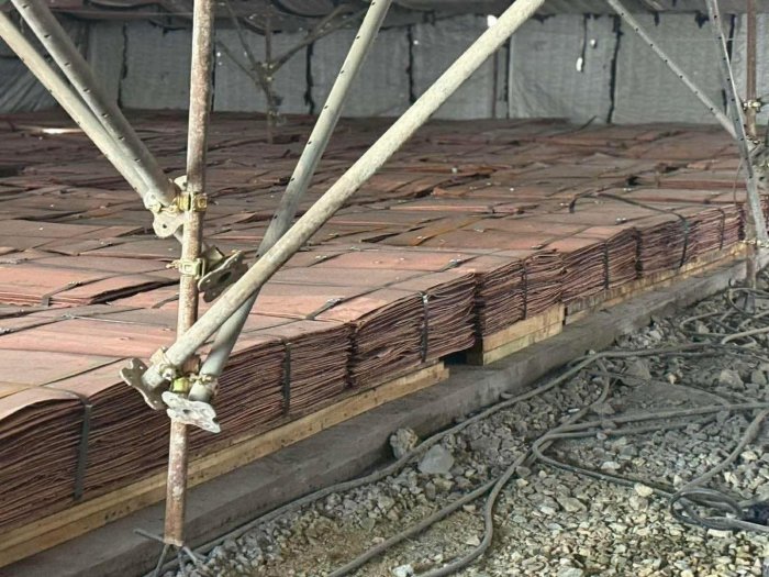 “Зэс эрдэнийн хувь” ХХК-ийн захирал Б.Мөнхбаатар 18 тэрбум төгрөгийн зэс газар ухаж нуусан нь баригдлаа