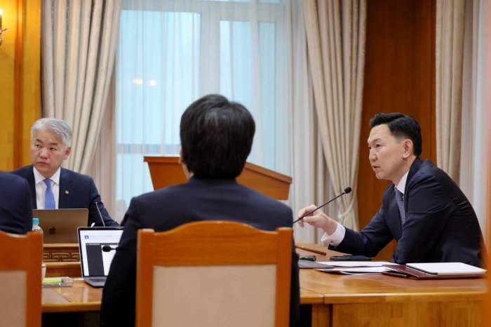 Н.Учрал: Эрүүл мэнд, байгаль орчноос бусад салбарт хийх төлөвлөгөөт хяналт шалгалтыг зогсоолоо