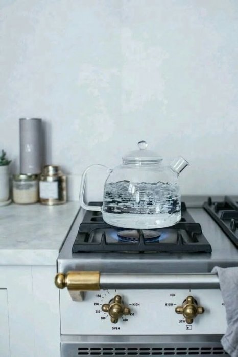 Д.Амарзаяа: Уламжлалт анагаах ухаанд өвчин бүхнийг эдгээх эм тангийн эхлэл нь ширгээсэн ус гэж үздэг